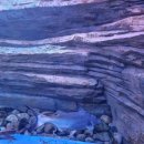 충주세계무술박물관 | 충주 🥋세계무술박물관, 그리고 🐠아쿠아리움