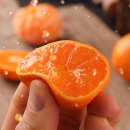 킹과일상회