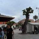 4일째 날 / 크로아티아 두브로브니크 DUBROVNIK 구시가지 및 성벽 투어 이미지