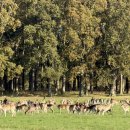 위도 아일랜드 | 가을 아일랜드 &amp; 벨기에 여행 후기 - 3탄