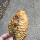 굴화스크린 이미지