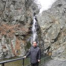 지헌 Daum카페