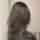 미용실미.