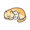 아레나로하 이미지