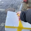 햇빛바다관광펜션 이미지