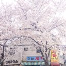 서성세탁소 이미지