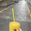 벌써 3월의 끝자락🙃 봄이 오고는 있는걸까?