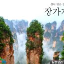 장가계 - 양산시 | 장가계