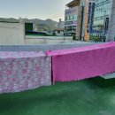 냇강쉼터 이미지