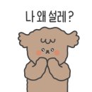 강릉오징어어시장 이미지