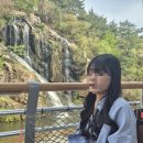 홍제바른약국 | [서대문] 연희동 감성 골목길과 맛집 방문 / 홍제 폭포~안산 자락길 연희숲속쉼터 튤립 구경🌷