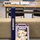 부성26로42 | 니큐(신생아 중환자실) 퇴원!! 연우(나비)와 함께한 27일, 그리고 새로운 시작