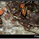 숲속계곡 쉴만한물가 이미지