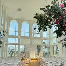 해그리다 이미지