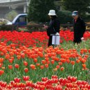 낙동강관리본부 화명생태공원 11 이미지