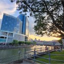 DN메디칼 이미지