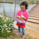 울성1로 이미지