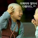 보현 이미지