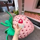 데이트🎀 ( 어반 소피스티케이션 딸기 팝업 , 릴리언 베이커리 , 콰니 , 아담스 타코 , 찰리스 그로서리 )