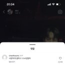냥빨 이미지