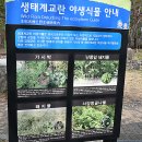 신궁2리마을회관 | ① 양평 갈산공원 주변 남한강변 벚꽃- ( 2025.04.10 )