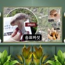 농업회사법인(주)우성 이미지