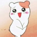 단하 이미지