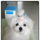 유진이네집 이미지