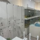 별다방 야옹이 이미지