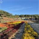 딴뚝통나무집식당 이미지