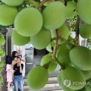 중흥2동 행정복지센터 앞 이미지