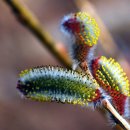 대인생역전 이미지