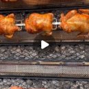 옥자네애견카페 유치원 호텔 미용 이미지