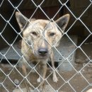 형수농장 이미지