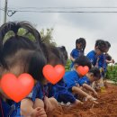 포승농장 이미지