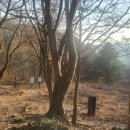 북한산편의점