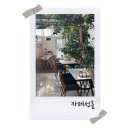 선흘안 | 제주 조천 감성 브런치 카페, 식물원 같은 카페 선흘