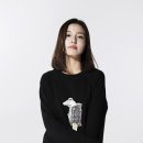 프로그디자인 이미지