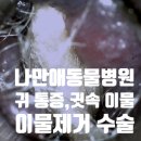 나만 애 동물병원 이미지