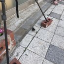 여자 둘이 놀러 간 가평 빠지 바하마 수상 레저 솔직 후기..!가평 숙박 패키지 이런 곳은 조심하자!