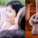 진심토끼 이미지