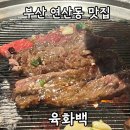 고분로13번길 5-20~반송로 18 | 부산 연산동 지팡이소갈비 맛집 육화백 본점 내돈내산 후기