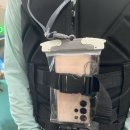 강원파크 | 알펜시아 워터파크 오션700 강원도민 할인, 말띠 무료입장 후기