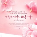 나운 이미지