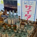 에모엘 | 오사카 근교여행🌳고베 롯코산 전망대 가는법 & 에모이전 후기 야경, 맛집, 포토존 총정리