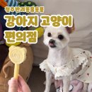 청주 율량동 반려동물용품 "강아지고양이편의점" 후기