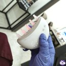 퀸플라즈마