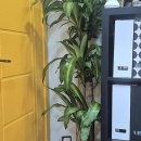 미래부동산중개사무소 | 부동산 중개업의 반짝이는 미래, 알찬 중개사무소 이야기를 나눠봐요