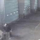 인천계양소방서 작전119안전센터 이미지