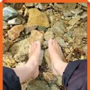 계곡속의동화 이미지